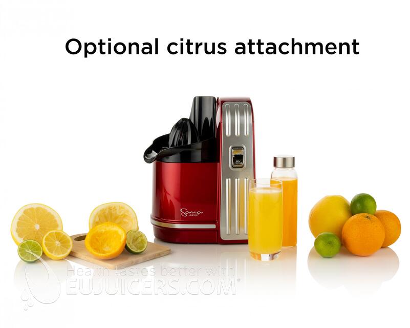 52481